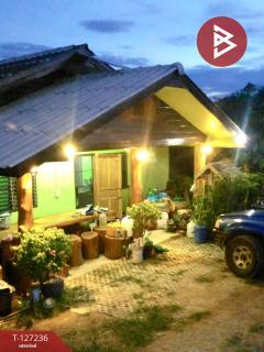 ขายที่ดินพร้อมสิ่งปลูกสร้างและสวนผลไม้ เนื้อที่ 9 ไร่ 2 งาน 77 ตร.วา พร้าว เชียงใหม่-202511231207071763874427518.jpg