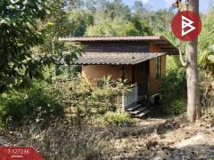 ขายที่ดินพร้อมสิ่งปลูกสร้างและสวนผลไม้ เนื้อที่ 9 ไร่ 2 งาน 77 ตร.วา พร้าว เชียงใหม่-202511231207091763874429166.jpg