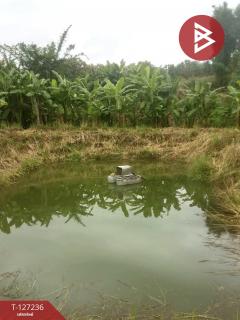 ขายที่ดินพร้อมสิ่งปลูกสร้างและสวนผลไม้ เนื้อที่ 9 ไร่ 2 งาน 77 ตร.วา พร้าว เชียงใหม่-202511231207101763874430279.jpg