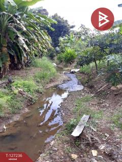 ขายที่ดินพร้อมสิ่งปลูกสร้างและสวนผลไม้ เนื้อที่ 9 ไร่ 2 งาน 77 ตร.วา พร้าว เชียงใหม่-202511231207101763874430824.jpg