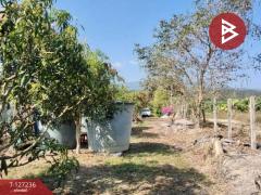 ขายที่ดินพร้อมสิ่งปลูกสร้างและสวนผลไม้ เนื้อที่ 9 ไร่ 2 งาน 77 ตร.วา พร้าว เชียงใหม่-202511231207131763874433081.jpg