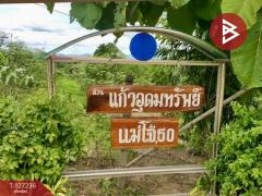 ขายที่ดินพร้อมสิ่งปลูกสร้างและสวนผลไม้ เนื้อที่ 9 ไร่ 2 งาน 77 ตร.วา พร้าว เชียงใหม่-202511231207131763874433656.jpg
