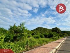 ขายที่ดินเปล่า เนื้อที่ 8 ไร่ 3 งาน 8 ตร.วา ตาคลี นครสวรรค์