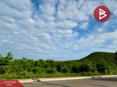 ขายที่ดินเปล่า เนื้อที่ 8 ไร่ 3 งาน 8 ตร.วา ตาคลี นครสวรรค์-202511231210231763874623337.jpg