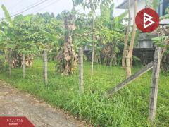 ขายที่ดิน เนื้อที่ 79 ตารางวา อ.ขลุง จันทบุรี-202511231218251763875105617.jpg