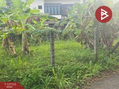 ขายที่ดิน เนื้อที่ 79 ตารางวา อ.ขลุง จันทบุรี-202511231218261763875106163.jpg