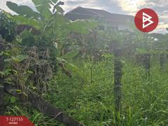 ขายที่ดิน เนื้อที่ 79 ตารางวา อ.ขลุง จันทบุรี-202511231218261763875106710.jpg