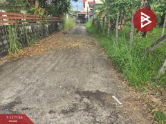 ขายที่ดิน เนื้อที่ 79 ตารางวา อ.ขลุง จันทบุรี-202511231218271763875107248.jpg