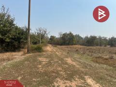 ขายที่ดิน 2 แปลงติดกัน เนื้อที่ 1 ไร่ 52 ตารางวา สามชุก สุพรรณบุรี-202511231219271763875167751.jpg