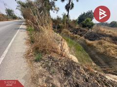 ขายที่ดิน 2 แปลงติดกัน เนื้อที่ 1 ไร่ 52 ตารางวา สามชุก สุพรรณบุรี-202511231219281763875168294.jpg