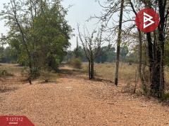 ขายที่ดิน 2 แปลงติดกัน เนื้อที่ 1 ไร่ 52 ตารางวา สามชุก สุพรรณบุรี-202511231219291763875169396.jpg