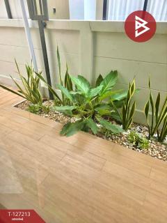 ขายบ้านแฝด หมู่บ้านโกลเด้น พรีเว่ บางแสน-หนองมน ชลบุรี พร้อมอยู่-202511231235241763876124543.jpg