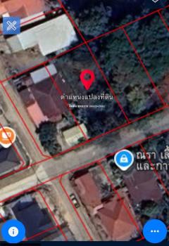 โอกาสทอง! ที่ดินสวย 135 ตรว. ใกล้ ม.อุบลฯ พร้อมสร้างบ้านในฝัน โทร 099-254-2692-202511231248341763876914142.jpg