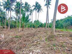 ขายที่ดินเปล่า-เนื้อที่-1-ไร่-2-งาน-29-ต