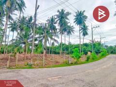 ขายที่ดินเปล่า เนื้อที่ 1 ไร่ 2 งาน 29 ตารางวา บ้านปรก เมืองสมุทรสงคราม-202511231255181763877318085.jpg