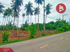 ขายที่ดินเปล่า เนื้อที่ 1 ไร่ 2 งาน 29 ตารางวา บ้านปรก เมืองสมุทรสงคราม-202511231255181763877318643.jpg