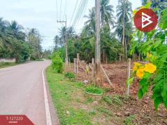 ขายที่ดินเปล่า เนื้อที่ 1 ไร่ 2 งาน 29 ตารางวา บ้านปรก เมืองสมุทรสงคราม-202511231255191763877319194.jpg