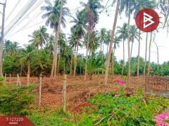 ขายที่ดินเปล่า เนื้อที่ 1 ไร่ 2 งาน 29 ตารางวา บ้านปรก เมืองสมุทรสงคราม-202511231255191763877319746.jpg