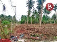 ขายที่ดินเปล่า เนื้อที่ 1 ไร่ 2 งาน 29 ตารางวา บ้านปรก เมืองสมุทรสงคราม-202511231255201763877320299.jpg