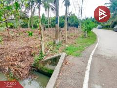 ขายที่ดินเปล่า เนื้อที่ 1 ไร่ 2 งาน 29 ตารางวา บ้านปรก เมืองสมุทรสงคราม-202511231255211763877321416.jpg