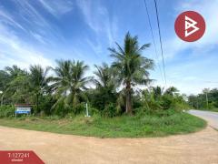 ขายที่ดินพร้อมสิ่งปลูกสร้าง เนื้อที่ 6 ไร่ 3 งาน 14.3 ตร.วา รัตภูมิ สงขลา-202511231300571763877657930.jpg