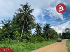 ขายที่ดินพร้อมสิ่งปลูกสร้าง เนื้อที่ 6 ไร่ 3 งาน 14.3 ตร.วา รัตภูมิ สงขลา-202511231300581763877658482.jpg