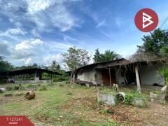 ขายที่ดินพร้อมสิ่งปลูกสร้าง เนื้อที่ 6 ไร่ 3 งาน 14.3 ตร.วา รัตภูมิ สงขลา-202511231300591763877659044.jpg