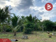 ขายที่ดินพร้อมสิ่งปลูกสร้าง เนื้อที่ 6 ไร่ 3 งาน 14.3 ตร.วา รัตภูมิ สงขลา-202511231300591763877659596.jpg