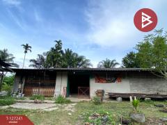 ขายที่ดินพร้อมสิ่งปลูกสร้าง เนื้อที่ 6 ไร่ 3 งาน 14.3 ตร.วา รัตภูมิ สงขลา-202511231301001763877660149.jpg