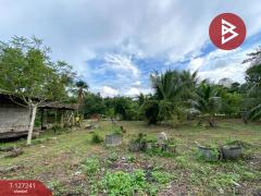 ขายที่ดินพร้อมสิ่งปลูกสร้าง เนื้อที่ 6 ไร่ 3 งาน 14.3 ตร.วา รัตภูมิ สงขลา-202511231301001763877660705.jpg