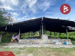 ขายที่ดินพร้อมสิ่งปลูกสร้าง เนื้อที่ 6 ไร่ 3 งาน 14.3 ตร.วา รัตภูมิ สงขลา-202511231301011763877661258.jpg