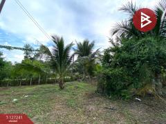 ขายที่ดินพร้อมสิ่งปลูกสร้าง เนื้อที่ 6 ไร่ 3 งาน 14.3 ตร.วา รัตภูมิ สงขลา-202511231301011763877661831.jpg