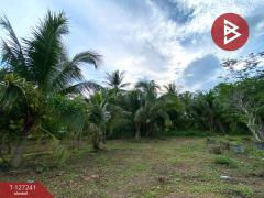 ขายที่ดินพร้อมสิ่งปลูกสร้าง เนื้อที่ 6 ไร่ 3 งาน 14.3 ตร.วา รัตภูมิ สงขลา-202511231301021763877662385.jpg