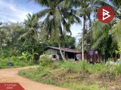 ขายที่ดินพร้อมสิ่งปลูกสร้าง เนื้อที่ 6 ไร่ 3 งาน 14.3 ตร.วา รัตภูมิ สงขลา-202511231301021763877662937.jpg