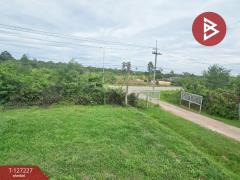 ขายที่ดิน เนื้อที่ 81 ไร่ 3 งาน 82 ตร.วา นายายอาม จันทบุรี-202511231317451763878665759.jpg