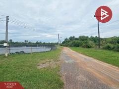 ขายที่ดิน เนื้อที่ 81 ไร่ 3 งาน 82 ตร.วา นายายอาม จันทบุรี-202511231317461763878666309.jpg