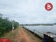 ขายที่ดิน เนื้อที่ 81 ไร่ 3 งาน 82 ตร.วา นายายอาม จันทบุรี-202511231317461763878666851.jpg