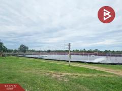 ขายที่ดิน เนื้อที่ 81 ไร่ 3 งาน 82 ตร.วา นายายอาม จันทบุรี-202511231317481763878668478.jpg