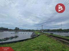 ขายที่ดิน เนื้อที่ 81 ไร่ 3 งาน 82 ตร.วา นายายอาม จันทบุรี-202511231317491763878669017.jpg