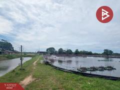 ขายที่ดิน เนื้อที่ 81 ไร่ 3 งาน 82 ตร.วา นายายอาม จันทบุรี-202511231317491763878669559.jpg