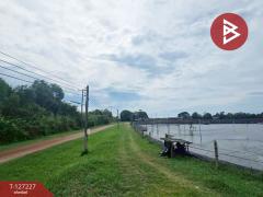 ขายที่ดิน เนื้อที่ 81 ไร่ 3 งาน 82 ตร.วา นายายอาม จันทบุรี-202511231317501763878670096.jpg