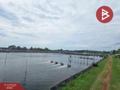 ขายที่ดิน เนื้อที่ 81 ไร่ 3 งาน 82 ตร.วา นายายอาม จันทบุรี-202511231317501763878670635.jpg