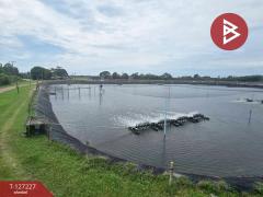 ขายที่ดิน เนื้อที่ 81 ไร่ 3 งาน 82 ตร.วา นายายอาม จันทบุรี-202511231317511763878671169.jpg