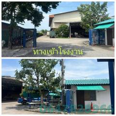 ขายโรงงานเฟอร์นิเจอร์เก่า พร้อมตัวอาคารโรงงาน มีใบ รง.4 บ้านโพธิ์ ฉะเชิงเทรา ติดถนนเส้น315 -202511231335561763879756345.jpg