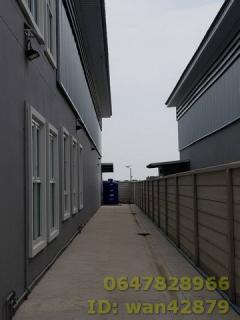 ขายโรงงานพร้อมออฟฟิศ เหมาะสำหรับผลิตอาหาร อาหารเสริมหรือเครื่องสำอาง ทำห้องตามแบบมาตราฐาน นราภิรมย์ บางเลน นครปฐม สภาพดีพร้อมใช้งานทันที -202511231340261763880026890.jpg