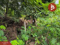 ขายที่ดินแปลงสวย เนื้อที่ 2 ไร่ 2 งาน 73.9 ตารางวา ใจกลางเมืองนนทบุรี ทำเลทอง-202511231451351763884295868.jpg