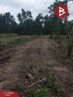 ขายที่ดิน เนื้อที่ 3 ไร่ 1 งาน 51 ตร.วา ท่าใหม่ จันทบุรี