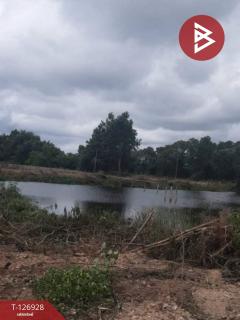 ขายที่ดิน เนื้อที่ 3 ไร่ 1 งาน 51 ตร.วา ท่าใหม่ จันทบุรี-202511231526561763886416788.jpg