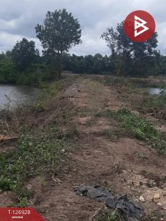 ขายที่ดิน เนื้อที่ 3 ไร่ 1 งาน 51 ตร.วา ท่าใหม่ จันทบุรี-202511231526571763886417885.jpg