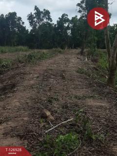 ขายที่ดิน เนื้อที่ 3 ไร่ 1 งาน 51 ตร.วา ท่าใหม่ จันทบุรี-202511231526581763886418430.jpg